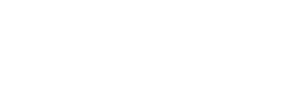 Intelsoft Technology Partners